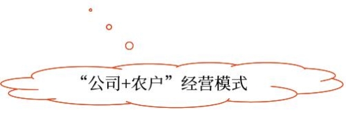 示意图