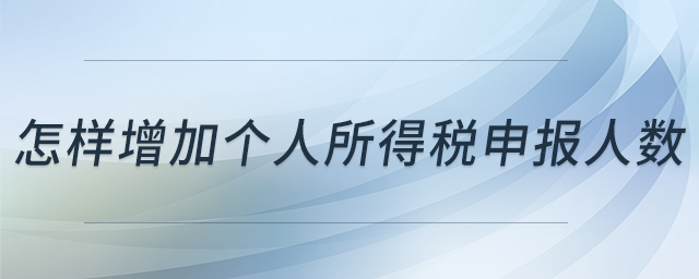 怎样增加个人所得税申报人数