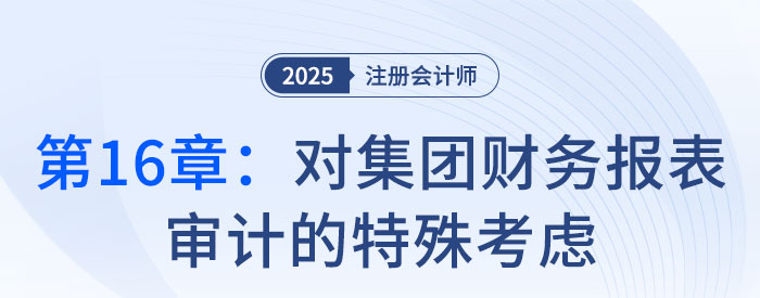 第十六章对集团财务报表审计的特殊考虑_2025年注会审计习题随章演练