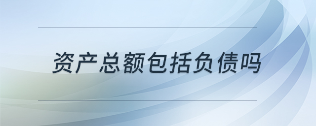 资产总额包括负债吗 资产总额包括负债吗