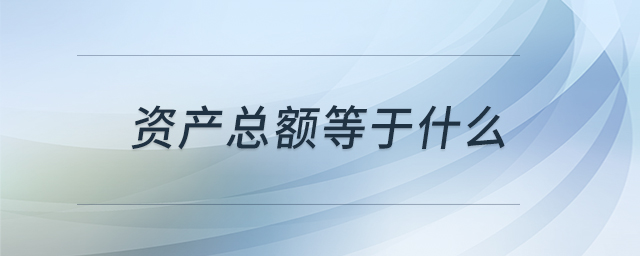 资产总额等于什么