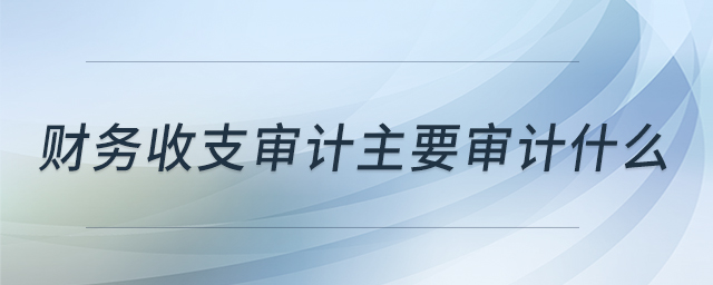 财务收支审计主要审计什么 财务收支审计主要审计什么