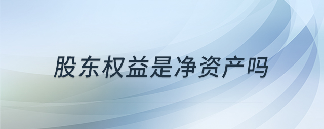 股东权益是净资产吗