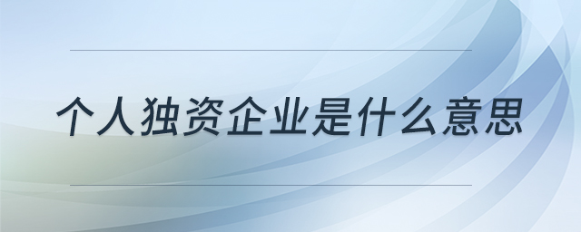 个人独资企业是什么意思