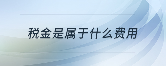 税金是属于什么费用 税金是属于什么费用