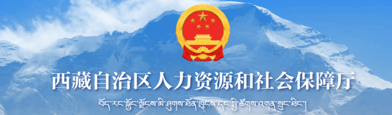 西藏2025年中级经济师考试报名考务通知！