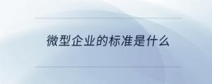 微型企业的标准是什么
