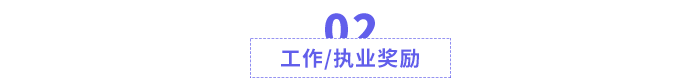 工作/执业奖励