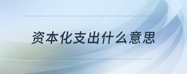 资本化支出什么意思