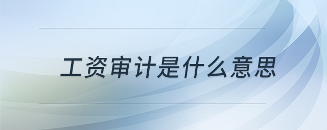 工资审计是什么意思