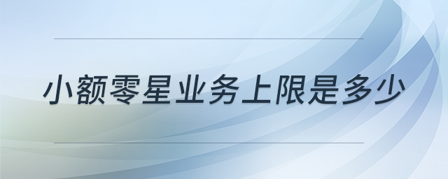 小额零星业务上限是多少