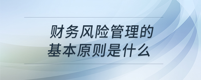 财务风险管理的基本原则是什么