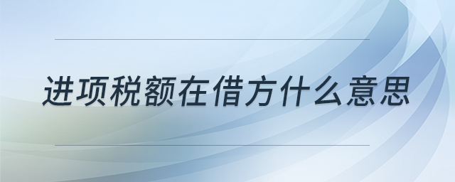 进项税额在借方什么意思