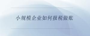 小规模企业如何报税做账