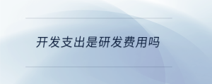 开发支出是研发费用吗
