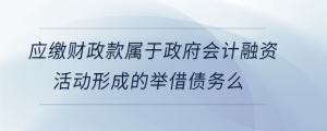 应缴财政款属于政府会计融资活动形成的举借债务么
