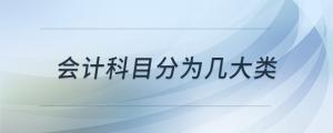 会计科目分为几大类