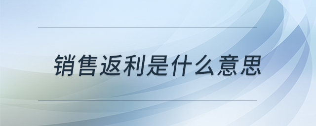 销售返利是什么意思