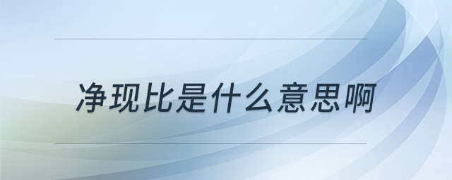 净现比是什么意思啊 净现比是什么意思啊