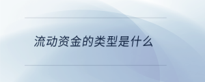 流动资金的类型是什么
