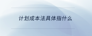 计划成本法具体指什么